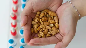 Buscan voluntarios en Navarra para probar la vacuna contra la alergia alimentaria "más letal"