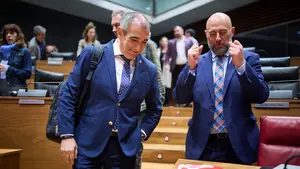 El tío de Chivite sigue sin despejar las dudas sobre la adjudicación de los túneles de Belate