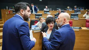 Los socialistas no convencen al Parlamento para apoyar en Navarra "el año Franco" que se montó Pedro Sánchez