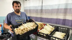 Javier, el agricultor que triunfa con el Espárrago de Navarra: "Vendo el doble del año pasado"