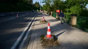 Denuncian que la tala de árboles de Asirón en Beloso quebranta una Ley Foral