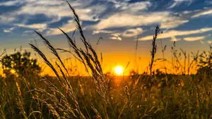 La AEMET anuncia en Navarra el final de las lluvias y el regreso del buen tiempo