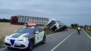 Vuelca un camión cargado con casi 200 cerdos tras un accidente en Navarra