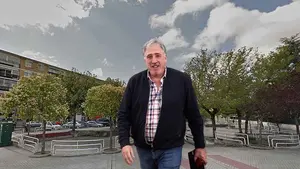 Asirón sigue talando árboles en Pamplona: proyecta cargarse parte de los de esta plaza