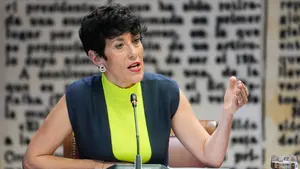 Elma Saiz dice en el Senado que no recuerda su relación con Koldo ni si tuvo su teléfono