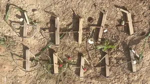 Un hombre podría ir a la cárcel en Navarra por cazar pajarillos: este es el motivo