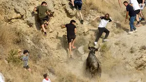 Arremeten contra el Encierro del Pilón de Falces: "Son público embrutecido por buscar el morbo"
