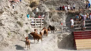 El pueblo de Navarra que se prepara para sus fiestas con buen ambiente y el encierro más espectacular