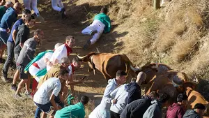 Un inoportuno resbalón deja un mozo a merced de la vaca en el Pilón de Falces: las fotos del encierro
