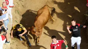 VÍDEO | Una vaquilla de récord en el séptimo encierro del Pilón de Falces pone a prueba a los corredores