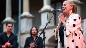 Pamplona a ritmo de Flamenco On Fire: las imágenes de los conciertos del festival