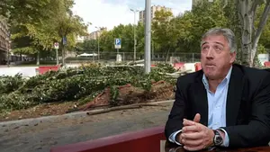 Asirón se mofa de la tala de árboles en Pamplona: "No renunciamos a un proyecto por un árbol o dos"