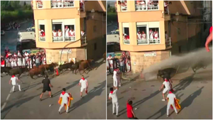 VÍDEO | Una vaca 'provoca' un río e 'inunda' un pueblo de Navarra en un accidentado encierro