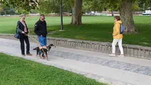 La AEMET avanza el tiempo para los próximos días en Navarra y predice una agradable sorpresa