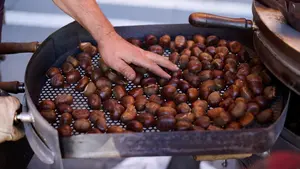 Los mejores lugares de Navarra para recoger castañas este otoño: rutas, consejos y precauciones