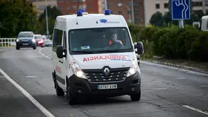 Herido grave un ciclista en Navarra tras ser derribado de la bicicleta por unos perros sueltos