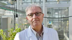 El doctor de la Universidad de Navarra que se encuentra entre los científicos más prestigiosos del mundo