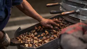 As&iacute; se repartir&aacute;n los puestos de casta&ntilde;as en Pamplona este oto&ntilde;o: hay cambios y nuevas ubicaciones