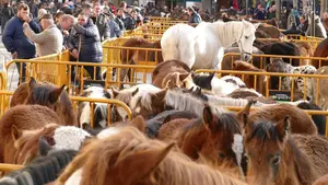 Un pueblo de Navarra celebra sus ferias de invierno con degustación de cordero y pinchos de potro a la brasa