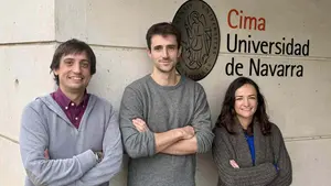 Investigadores de la Universidad de Navarra desarrollan una nueva herramienta para tratar cánceres letales