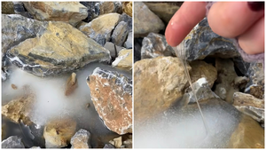 La extraña masa que ha aparecido en Navarra y se ha hecho viral en las redes: "¿Qué es esto?"