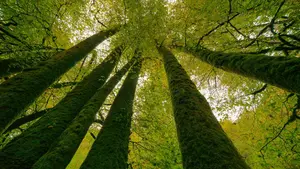 El f&aacute;cil sendero por un ic&oacute;nico parque natural de Navarra que lleva a una preciosa cascada