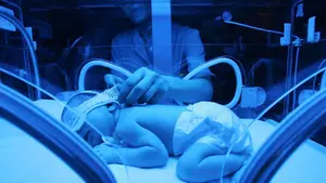 Expertos de la Clínica Universidad de Navarra consiguen mejorar los cuidados a bebés en embarazos de riesgo