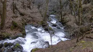 El secreto mejor guardado del norte de Navarra: una ruta que te lleva a unas cascadas de cuento entre hayedos