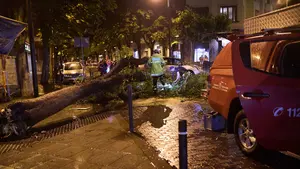 FOTOS | Una brutal tormenta derriba un árbol de varias toneladas en pleno centro de Pamplona