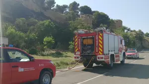 Los bomberos controlan un incendio en una zona de pinar en un pueblo de Navarra