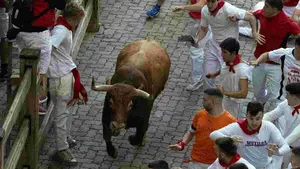 FOTOS | Un espectador de lujo en el encierro de San Fermín: ve la carrera entre un Jandilla y el vallado