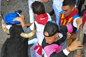 FOTOS | Una cornada en el cuello en el tramo de Telefónica de los toros de La Palmosilla en el séptimo encierro