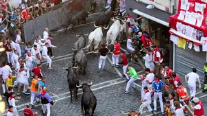 Esta es la verdadera raz&oacute;n por la que Miura no cierra los encierros de San Ferm&iacute;n este a&ntilde;o
