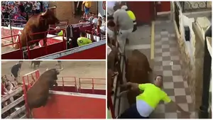 VIDEO | Grave cogida en un pueblo de Navarra: un toro salta el vallado y embiste a un trabajador municipal