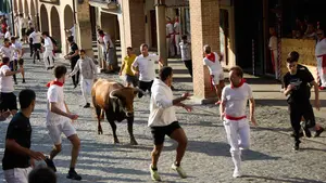 Estella celebra sus fiestas del Puy con encierros y actos tradicionales: programa completo