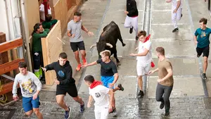Denuncian que quieren acabar con los encierros en un pueblo de Navarrra aunque la afición está "muy viva"