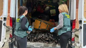 Así ha caído la pareja que robó cable telefónico en Navarra y causó daños de más de 44.000 euros