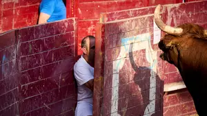 Las vaquillas vuelven a un conocido pueblo de Navarra: programa completo de las fiestas de la juventud