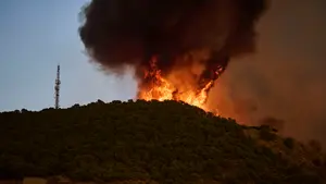 Seis días de batalla contra el fuego en Carcastillo: las llamas sucumben tras quemar 220 hectáreas