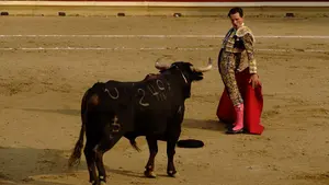 Dos orejas en la segunda corrida de fiestas de Tafalla en una tarde muy calurosa