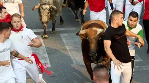 Un vibrante tercer encierro de Tafalla deja cuatro heridos con los toros de Sobral: las fotos de la carrera