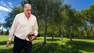 La Universidad de Navarra tala árboles enfermos por seguridad, Asirón se enrabieta y les ataca