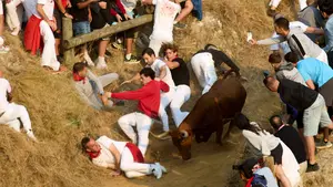 Vacas como centellas: las reses de Alba Reta lo arrollan todo y dejan 8 heridos en el Pilón de Falces