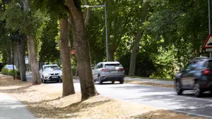 Indignaci&oacute;n con Asir&oacute;n de los alcaldes de Cizur, Bara&ntilde;&aacute;in y Zizur Mayor por cerrar la carretera de la Universidad sin di&aacute;logo