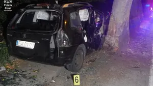 Conmoción en un pueblo de Navarra: un conductor en estado crítico tras chocar contra un árbol