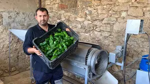 El pimiento m&aacute;s dulce de la temporada provoca "peregrinaciones" a un peque&ntilde;o pueblo de Navarra