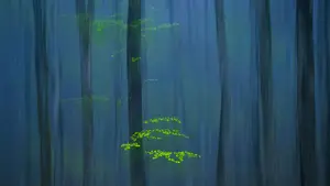 La espectacular imagen de un fotógrafo navarro que ha conquistado al jurado de un concurso internacional