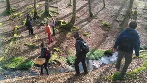 El valle navarro que celebra su gran fiesta del hongo con rutas, pinchos y premios irresistibles