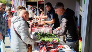 Un paseo por los sabores de Navarra: la Feria de Producto Local llena de vida la Plaza del Castillo