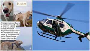 Piden ayuda para buscar a Kona, el perro de la montañera de Navarra fallecida en la montaña